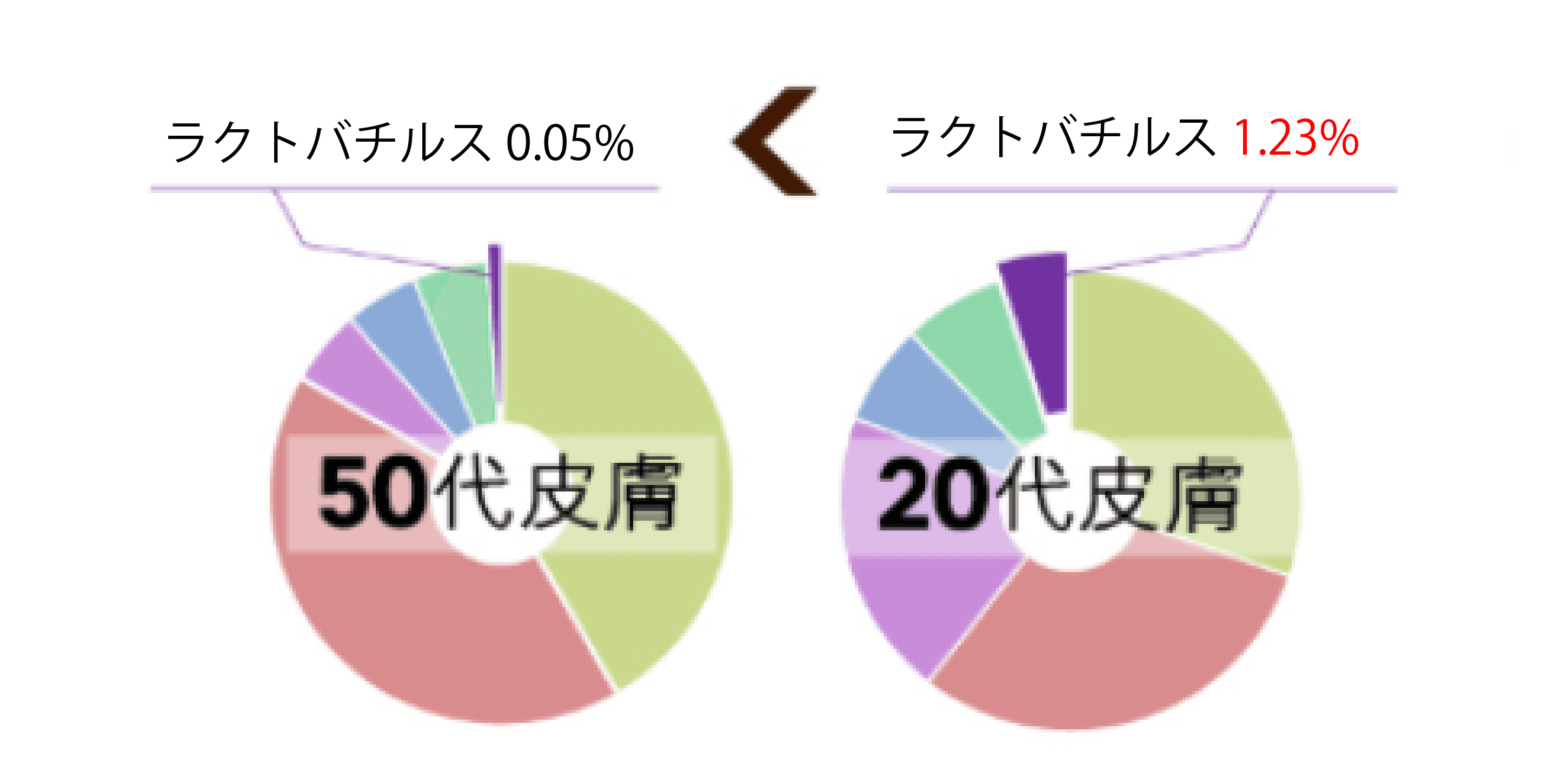 50代皮膚20代皮膚